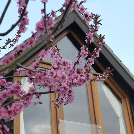 Superb Stokesby Barn Apartment - Norfolk Broads & Norwich Exterior foto